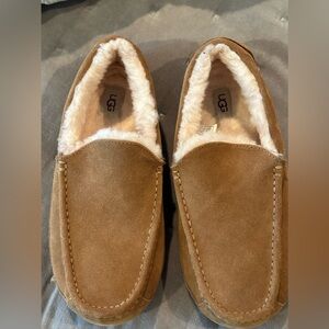Men’s UGG Slippers Size 12 Medium. Ascot Slippers in Chestnut Suede!